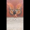 layceewest